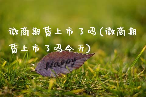 徽商期货上市了吗(徽商期货上市了吗今天)