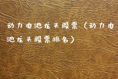 动力电池龙头股票（动力电池龙头股票排名）