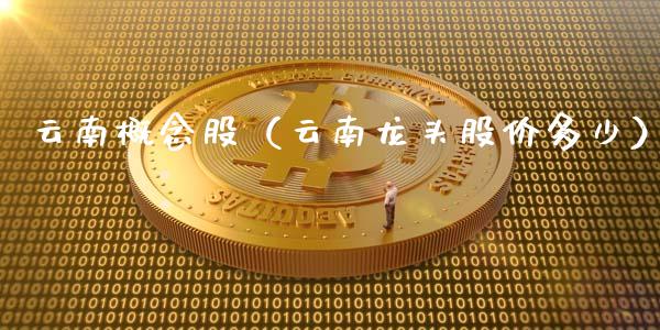云南概念股（云南龙头股价多少）