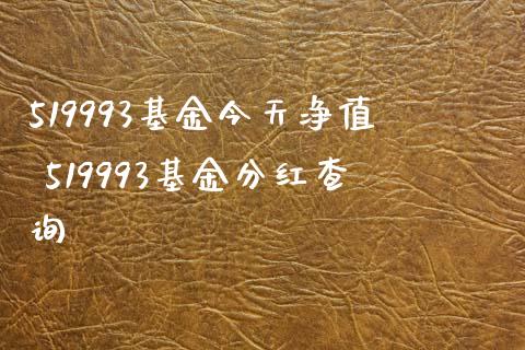 519993基金今天净值 519993基金分红查询