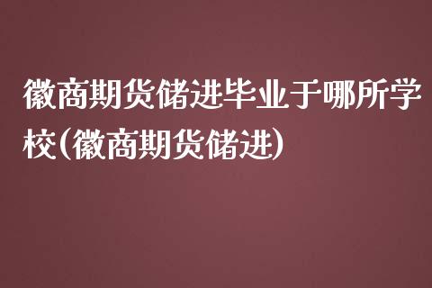 徽商期货储进毕业于哪所学校(徽商期货储进)