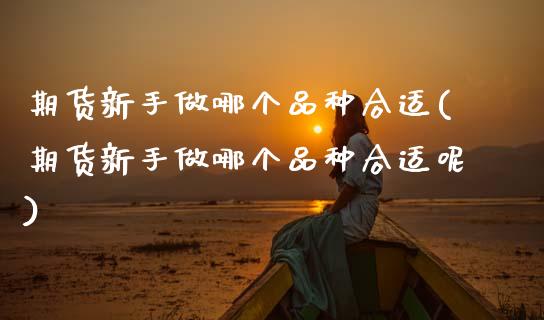期货新手做哪个品种合适(期货新手做哪个品种合适呢)