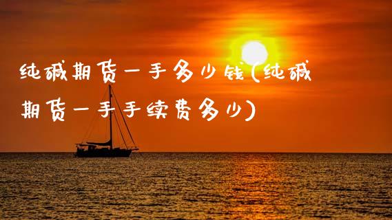 纯碱期货一手多少钱(纯碱期货一手手续费多少)