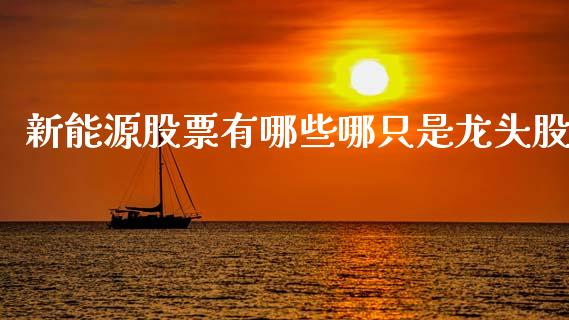 新能源股票有哪些哪只是龙头股
