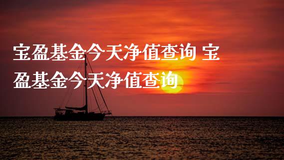 宝盈基金今天净值查询 宝盈基金今天净值查询_https://www.dglong8.com_基金理财_第1张