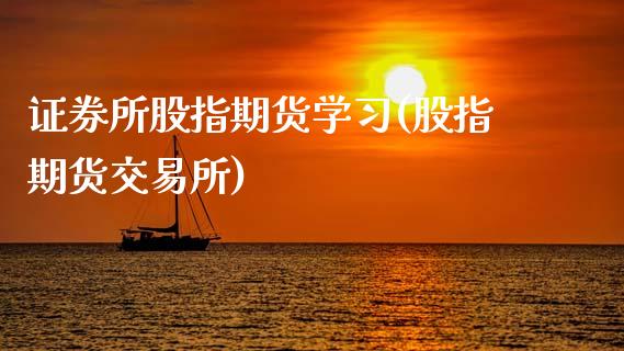 证券所股指期货学(股指期货交易所)