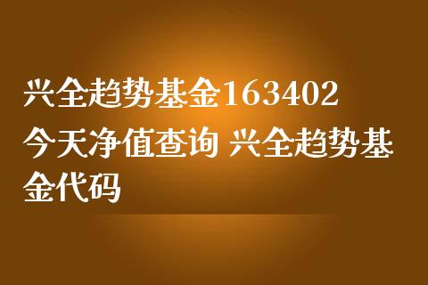 兴全趋势基金163402今天净值查询 兴全趋势基金代码_https://www.dglong8.com_基金理财_第1张