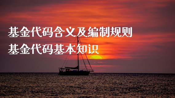 基金代码含义及规则 基金代码基本知识_基金理财_第1张_宇龙理财网 基金代码含义及规则 基金代码基本知识_https://www.dglong8.com_基金理财_第1张