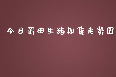 今日莆田生猪期货走势图