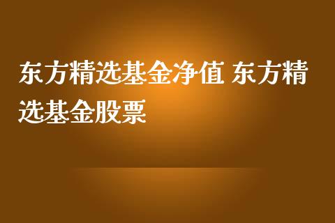 东方精选基金净值 东方精选基金股票