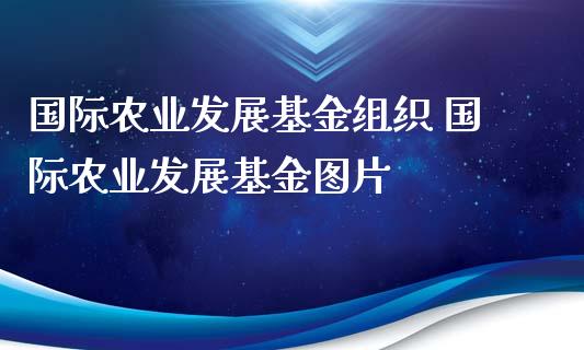 国际农业发展基金组织 国际农业发展基金图片