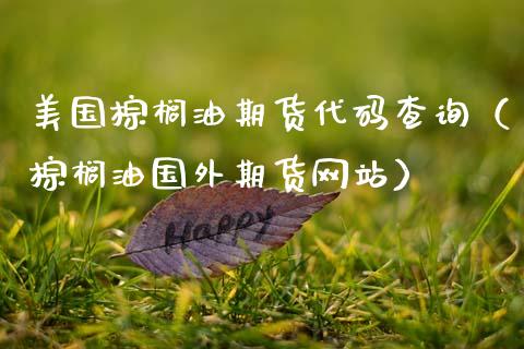 美国棕榈油期货代码查询（棕榈油国外期货网站）