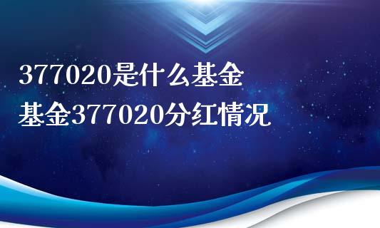 377020是什么基金 基金377020分红情况