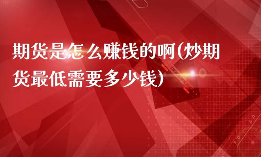 期货是怎么赚钱的啊(炒期货最低需要多少钱)