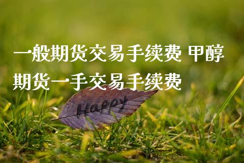 一般期货交易手续费 甲醇期货一手交易手续费_理财百科_第1张_宇龙理财网 一般期货交易手续费 甲醇期货一手交易手续费_https://www.dglong8.com_理财百科_第1张