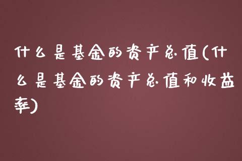 什么是基金的资产总值(什么是基金的资产总值和收益率)