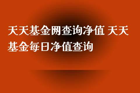天天基金网查询净值 天天基金每日净值查询