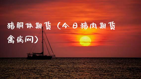 猪胴体期货（今日猪肉期货禽病网）