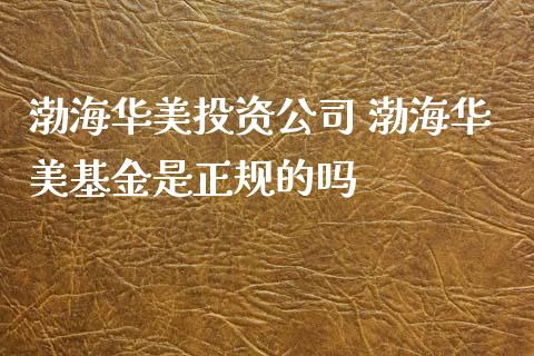 渤海华美投资公司 渤海华美基金是正规的吗