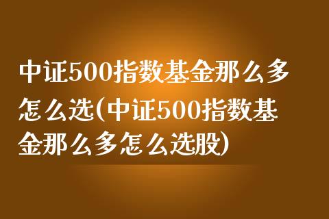 中证500指数基金那么多怎么选(中证500指数基金那么多怎么选股)