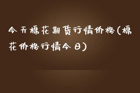 今天棉花期货行情价格(棉花价格行情今日)