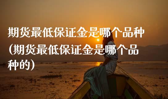 期货最低保证金是哪个品种(期货最低保证金是哪个品种的)