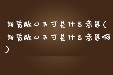 期货敞寸是什么意思(期货敞寸是什么意思啊)