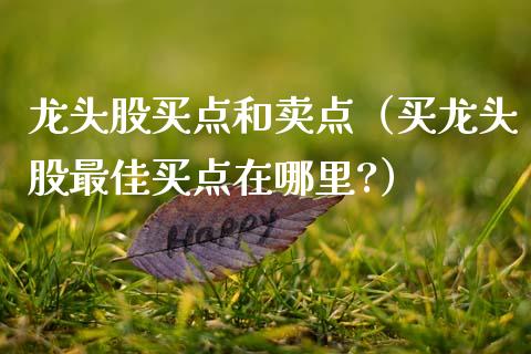 龙头股买点和卖点(买龙头股最佳买点在哪里?)_财经要闻_第1张_宇龙理财网 龙头股买点和卖点(买龙头股最佳买点在哪里?)_https://www.dglong8.com_财经要闻_第1张
