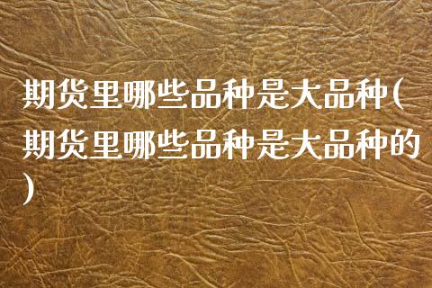 期货里哪些品种是大品种(期货里哪些品种是大品种的)
