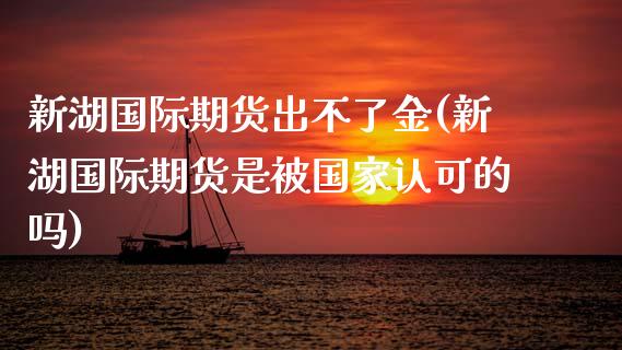 新湖国际期货出不了金(新湖国际期货是被国家认可的吗)