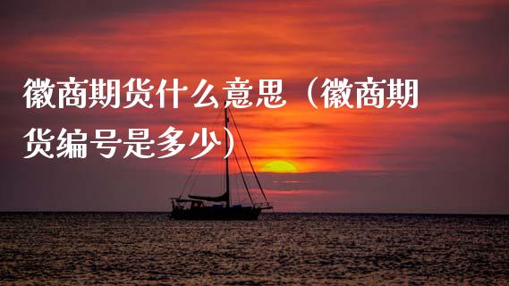 徽商期货什么意思（徽商期货编号是多少）