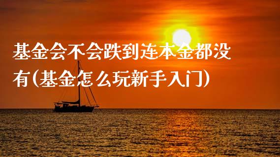 基金会不会跌到连本金都没有(基金怎么玩新手入门)