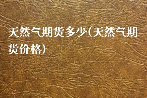 天然气期货多少(天然气期货价格)