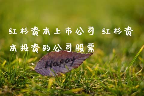红杉资本上市公司 红杉资本投资的公司股票