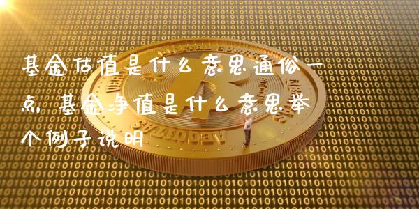 基金估值是什么意思通俗一点 基金净值是什么意思举个例子说明_https://www.dglong8.com_基金理财_第1张