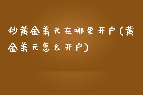 炒黄金美元在哪里开户(黄金美元怎么开户)