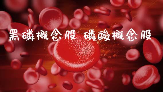 黑概念股 酸概念股