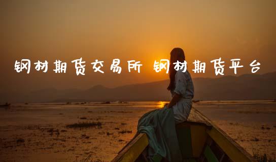 钢材期货交易所 钢材期货平台