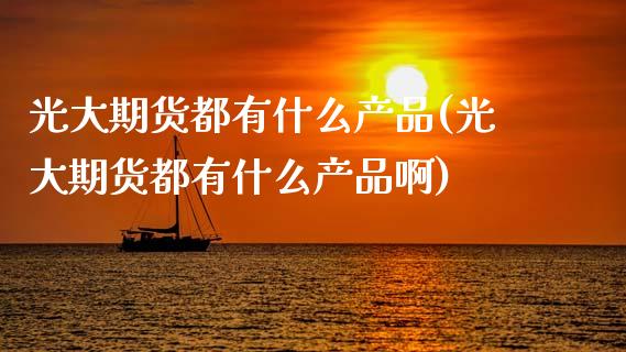 光大期货都有什么产品(光大期货都有什么产品啊)