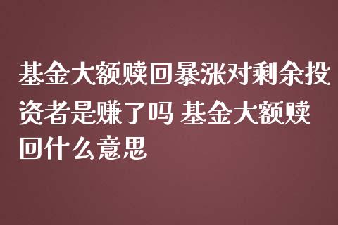 基金大额赎回暴涨对剩余投资者是赚了吗 基金大额赎回什么意思