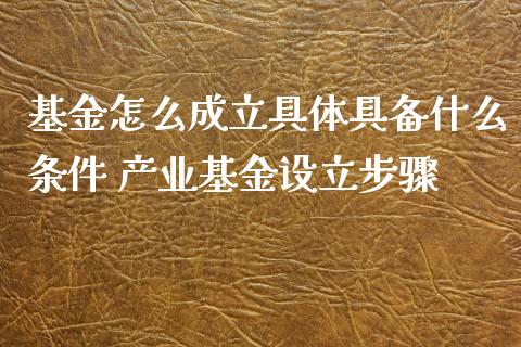 基金怎么成立具体具备什么条件 产业基金设立步骤
