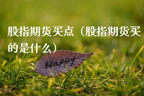 股指期货买点（股指期货买的是什么）