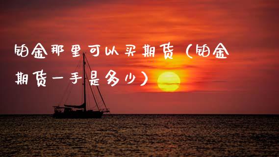 铂金那里可以买期货(铂金期货一手是多少)_黄金期货_第1张_宇龙理财网 铂金那里可以买期货(铂金期货一手是多少)_https://www.dglong8.com_黄金期货_第1张