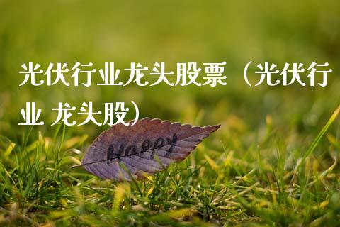 光伏行业龙头股票（光伏行业 龙头股）