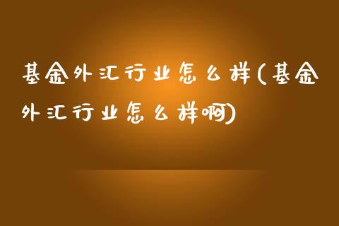 基金外汇行业怎么样(基金外汇行业怎么样啊)