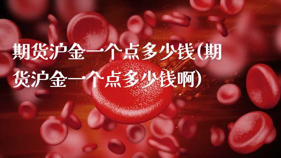 期货沪金一个点多少钱(期货沪金一个点多少钱啊)