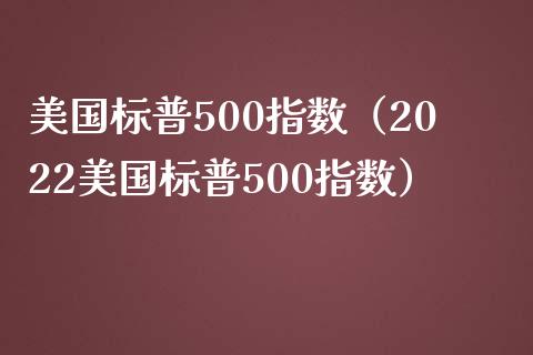 美国标普500指数（2022美国标普500指数）