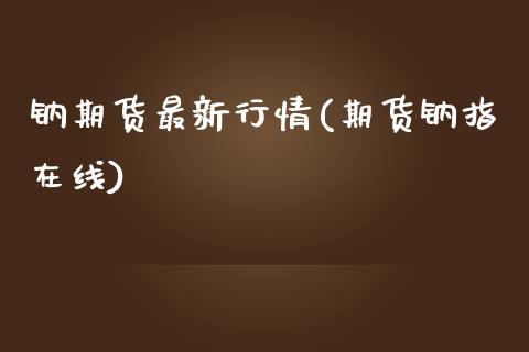 钠期货最新行情(期货钠指在线)