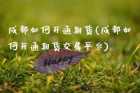 成都如何开通期货(成都如何开通期货交易平台)