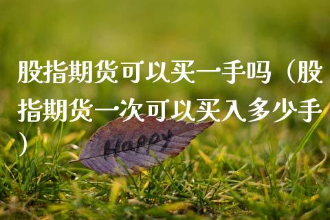 股指期货可以买一手吗（股指期货一次可以买入多少手）
